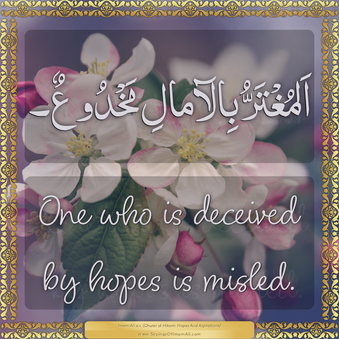 One who is deceived by hopes is misled.